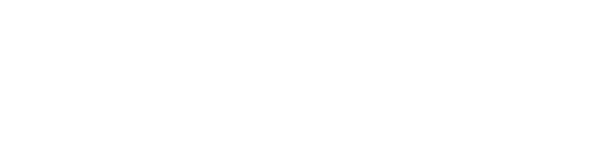 wordpress.png